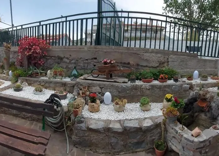 Sunrise טורטורה