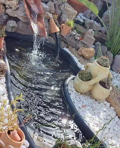 Sunrise לינה וארוחת בוקר 3*